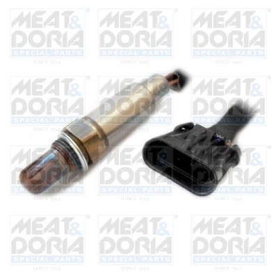 Oxygen Sensor